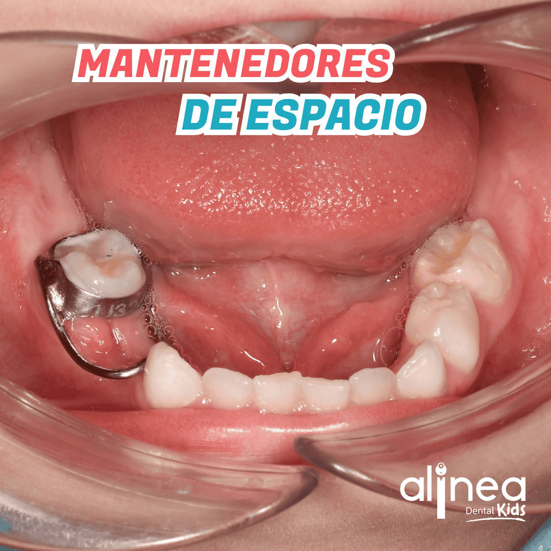 EDICIÓN DENTAL KIDS (73)