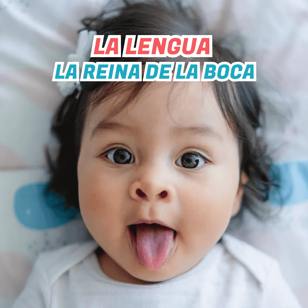 EDICIÓN DENTAL KIDS (88)