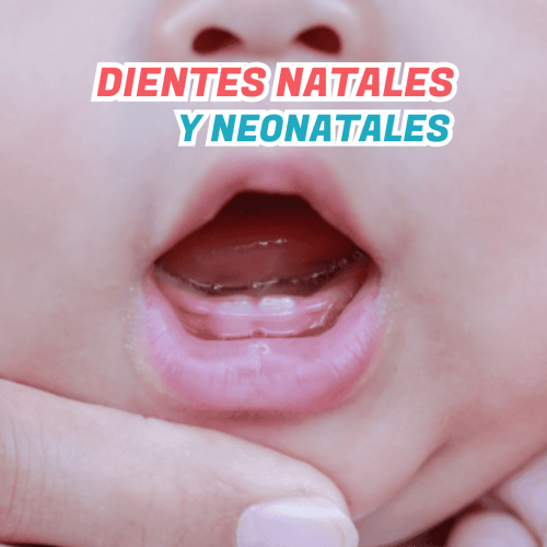 EDICIÓN DENTAL KIDS (85)